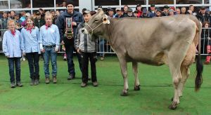 KernsSchneuter jngere